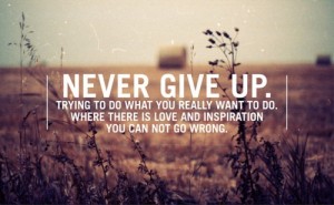 never-give-up-trying-to-do-what-you-really-want-to-do-where-there-is-love-and-inspiration-you-can-not-go-wrong
